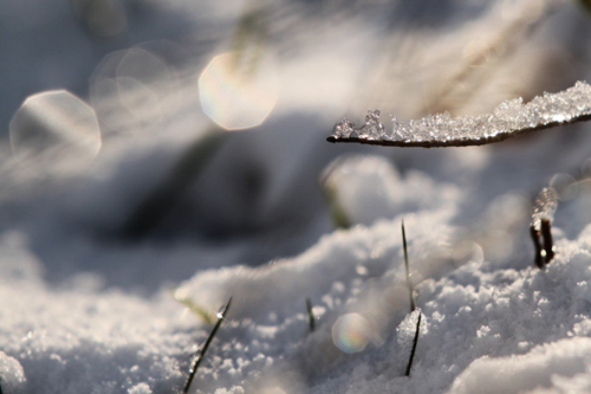 Firn Winter