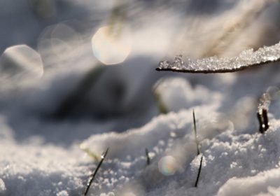 Firn Winter Firn Winter