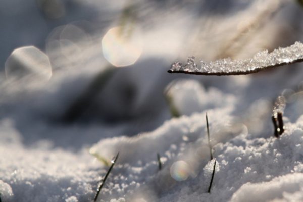 Firn Winter Firn Winter